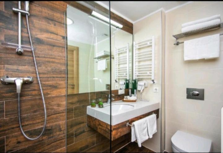 Orbi Palace Delux Bakuriani Room 470 Kültér fotó